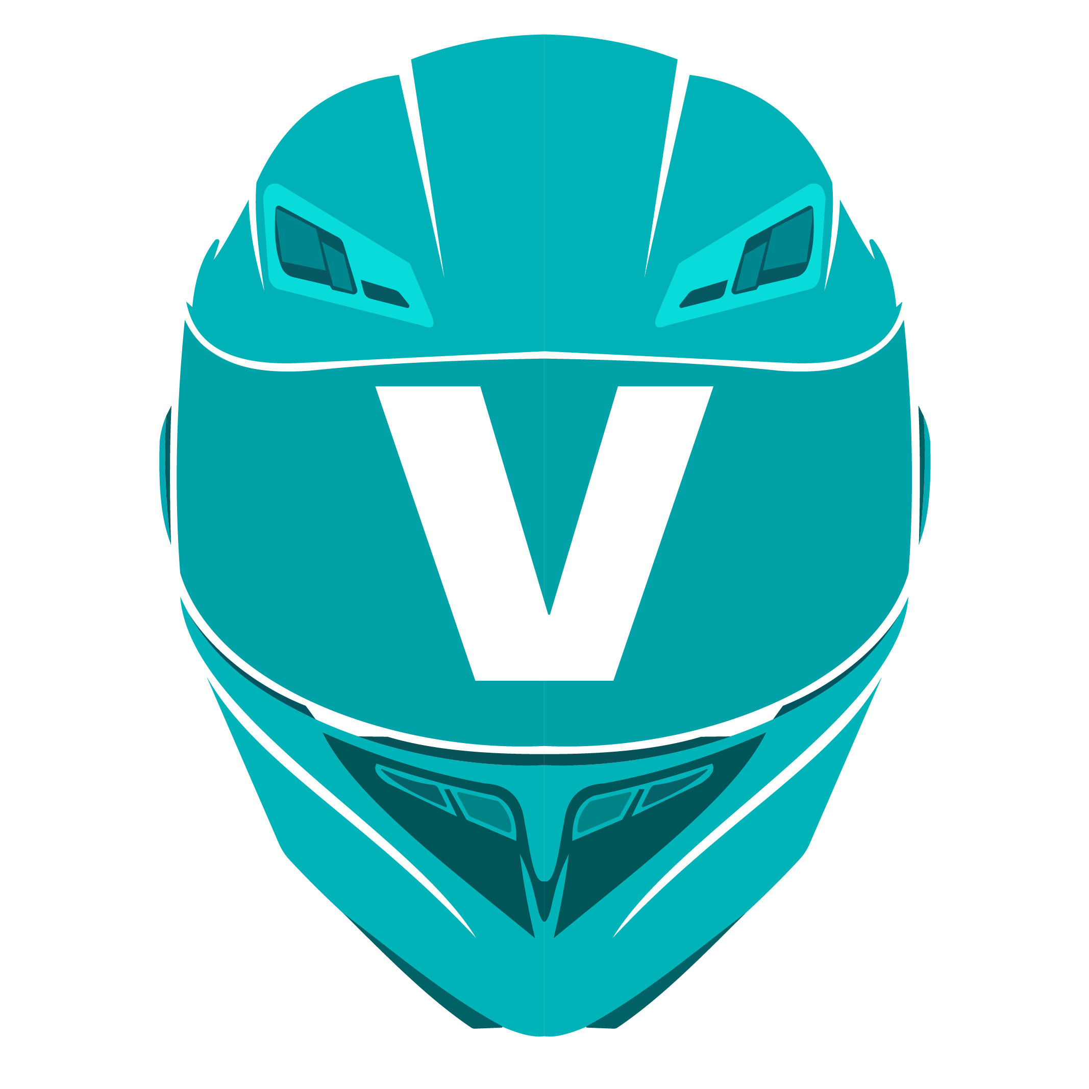 VNS Rider